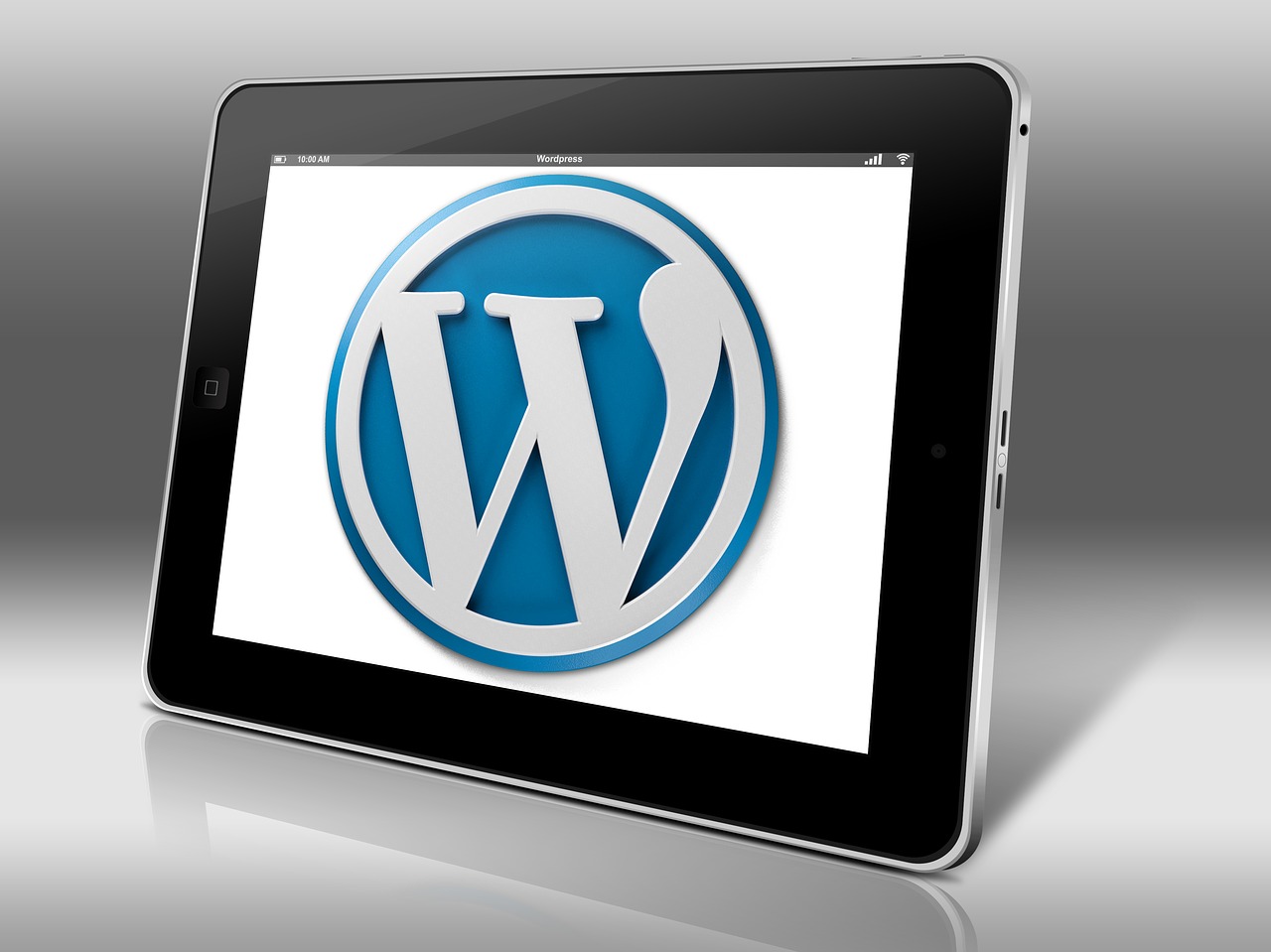 WordPress12.13