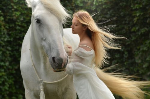 Horse and girl