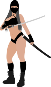Ninja 3
